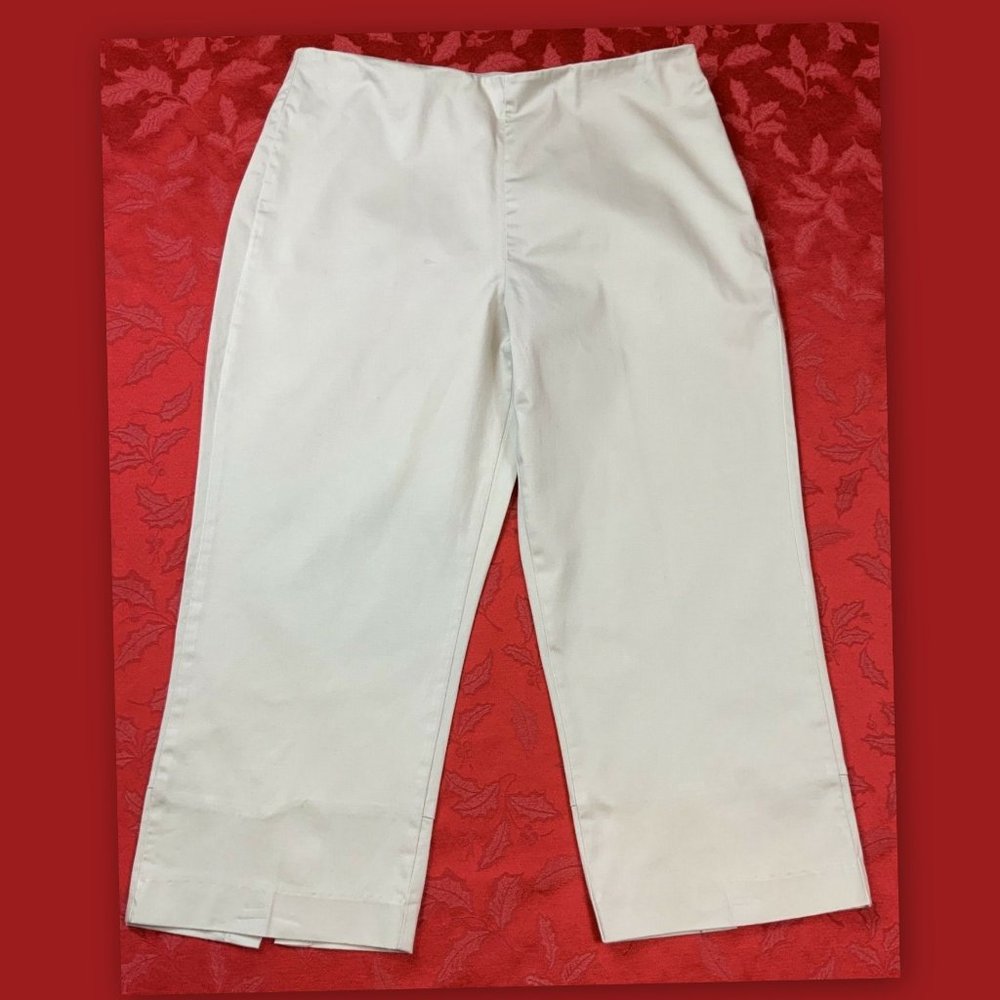 STYLE & CO. Petite Size 12P Beige Sheen Flat Front Side Zip Dress Capris Pants